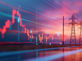 Un error en el mercado eléctrico dispara temporalmente el precio del PVPC y obliga a Red Eléctrica a corregirlo