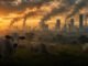 La carne producida en Colombia genera más del doble de emisiones contaminantes frente al promedio mundial