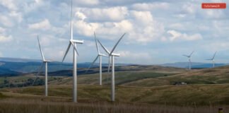 Navarra impulsa nuevas redes eléctricas para la transición energética y evitar que miles de megavatios renovables se desperdicien